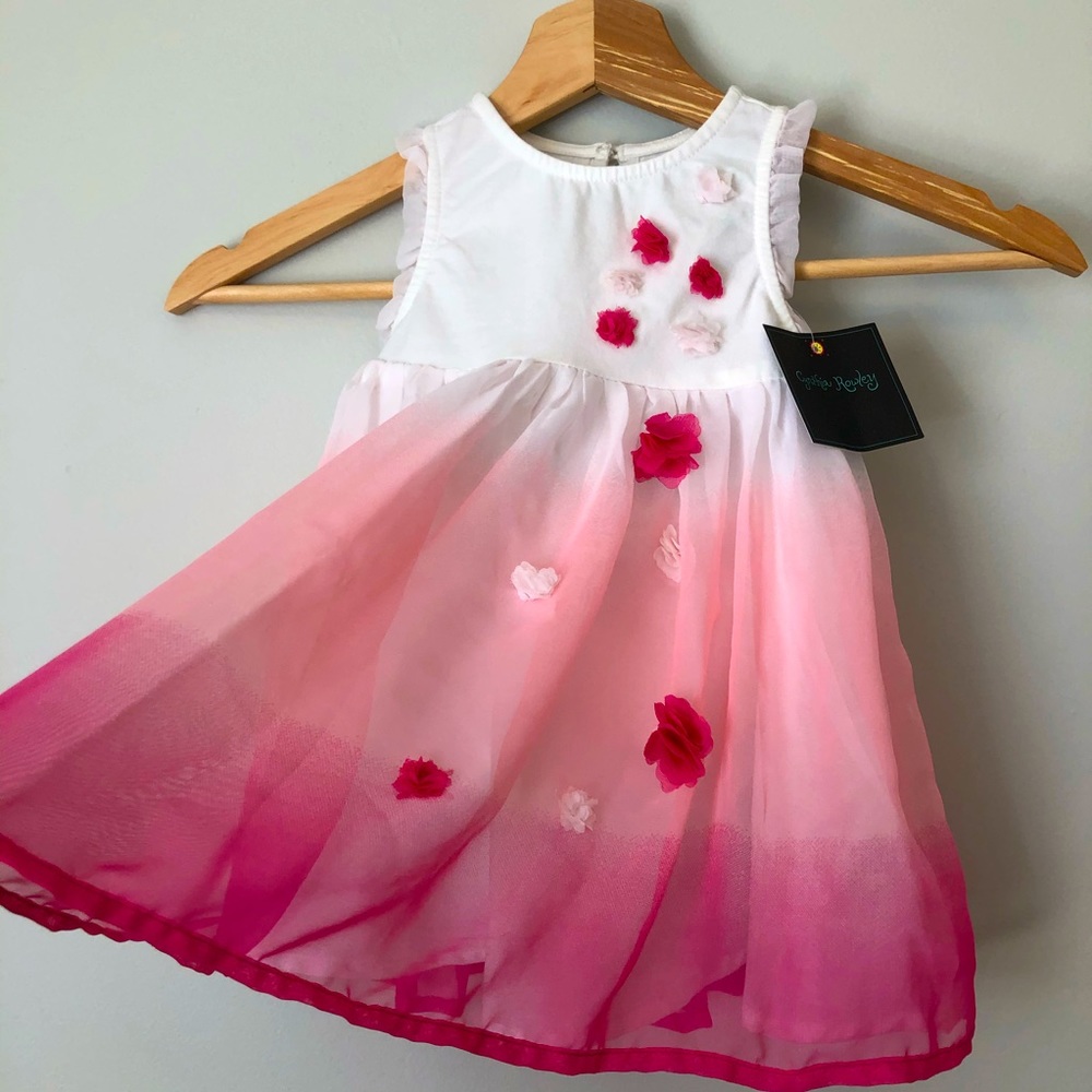 Cynthia Rowley special occasion dress for baby